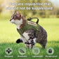 Harnais pour chat | Militaire