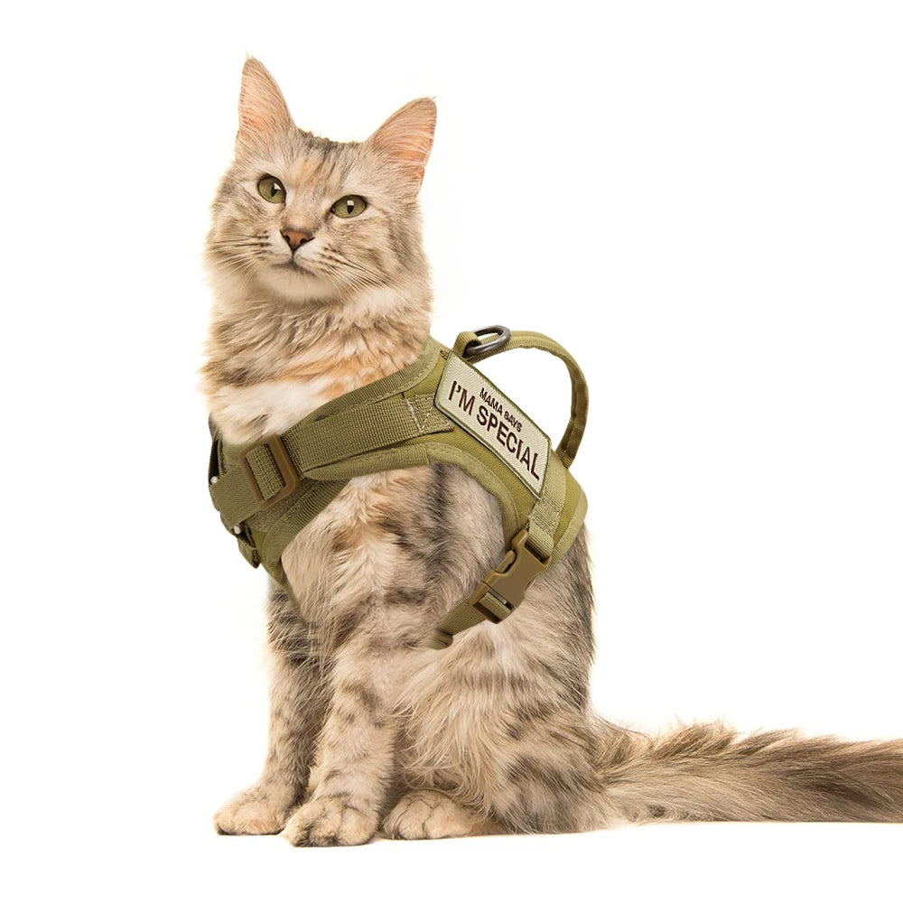 Harnais pour chat | Militaire