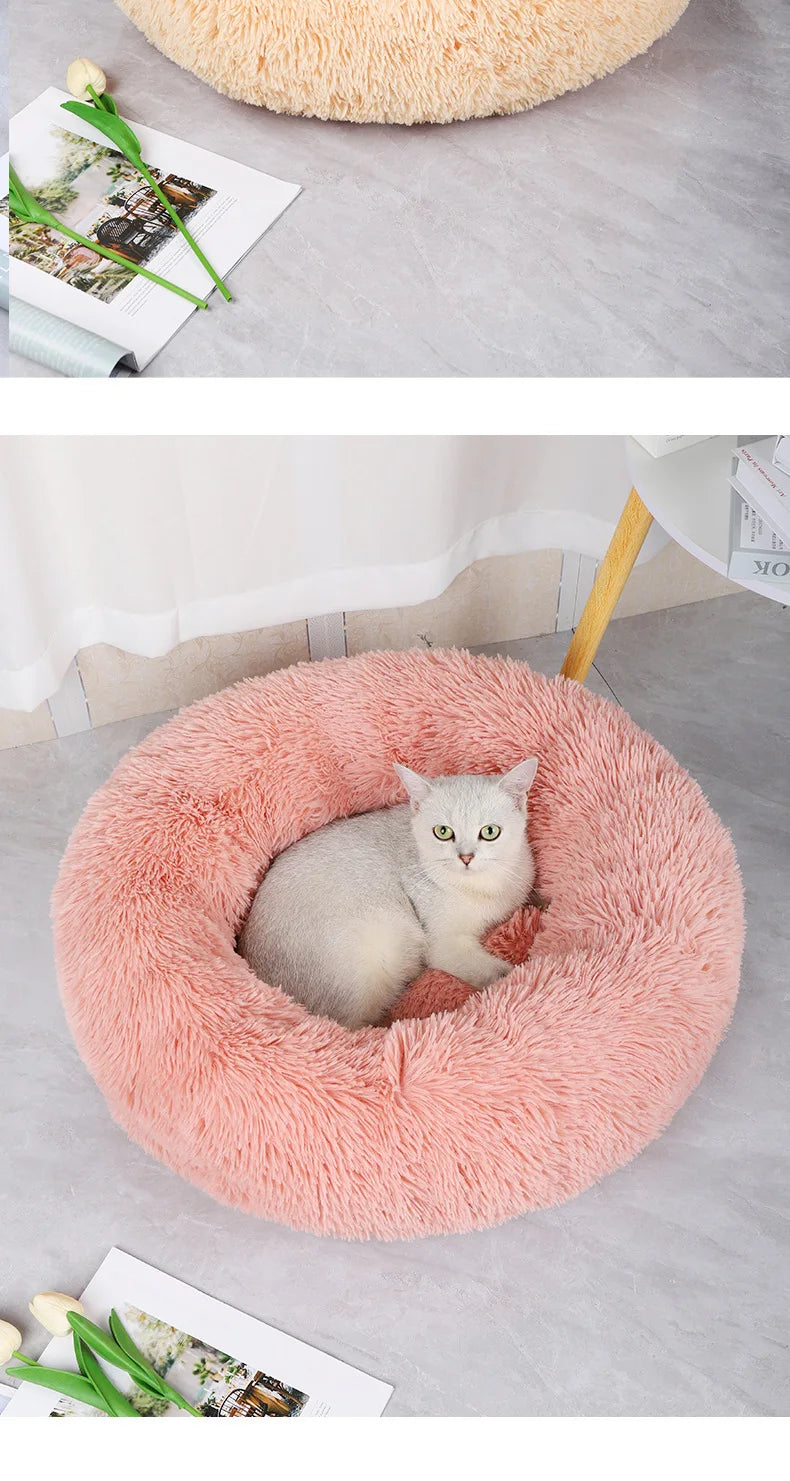 Coussin pour chat | Doux