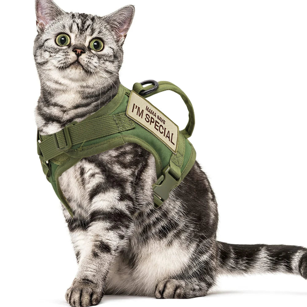 Harnais pour chat | Militaire