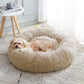 Coussin chat | Moelleux