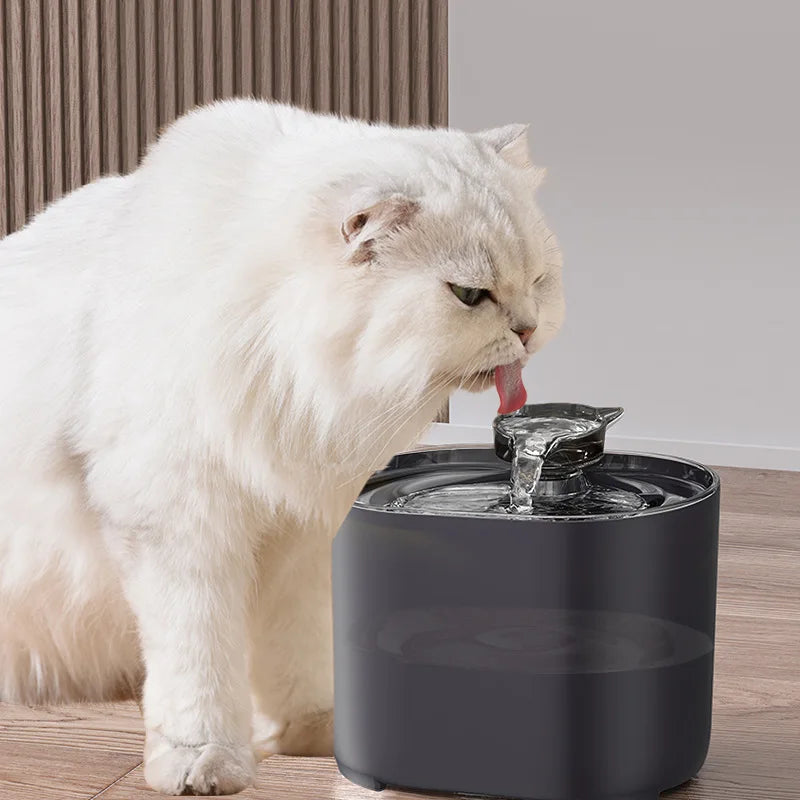 Fontaine à eau pour chat | Purificator