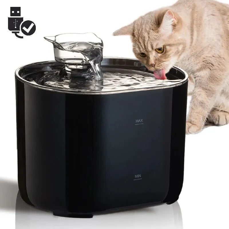 Fontaine à eau pour chat | Purificator