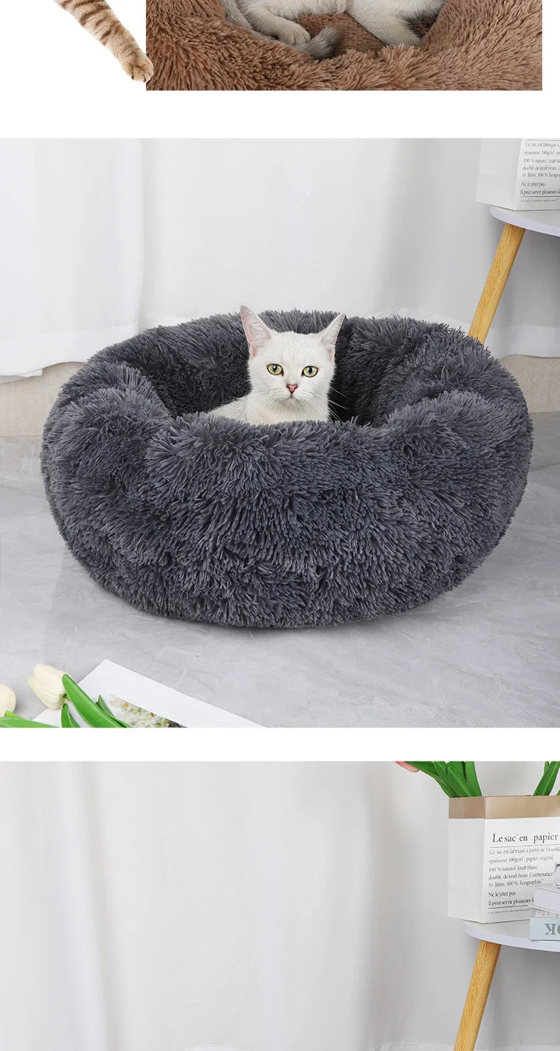 Coussin pour chat | Doux