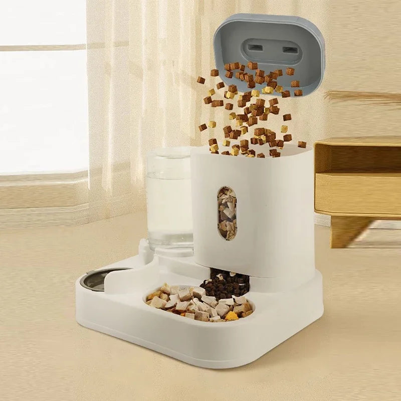 Distributeur Croquettes Chat | CatFeeder