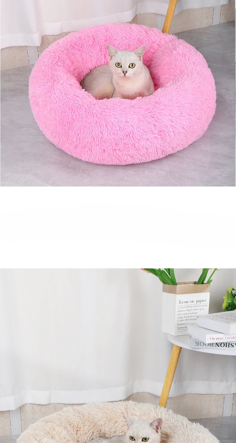 Coussin pour chat | Doux