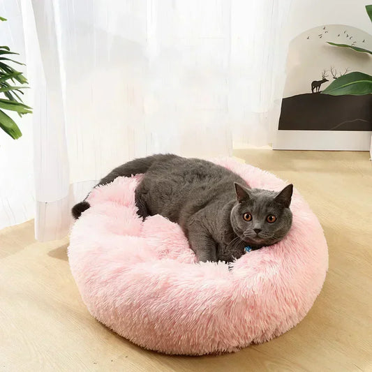 Coussin chat | PurrPillow™