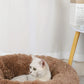 Coussin pour chat | Doux