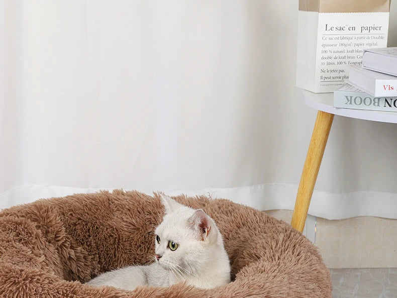 Coussin pour chat | Doux