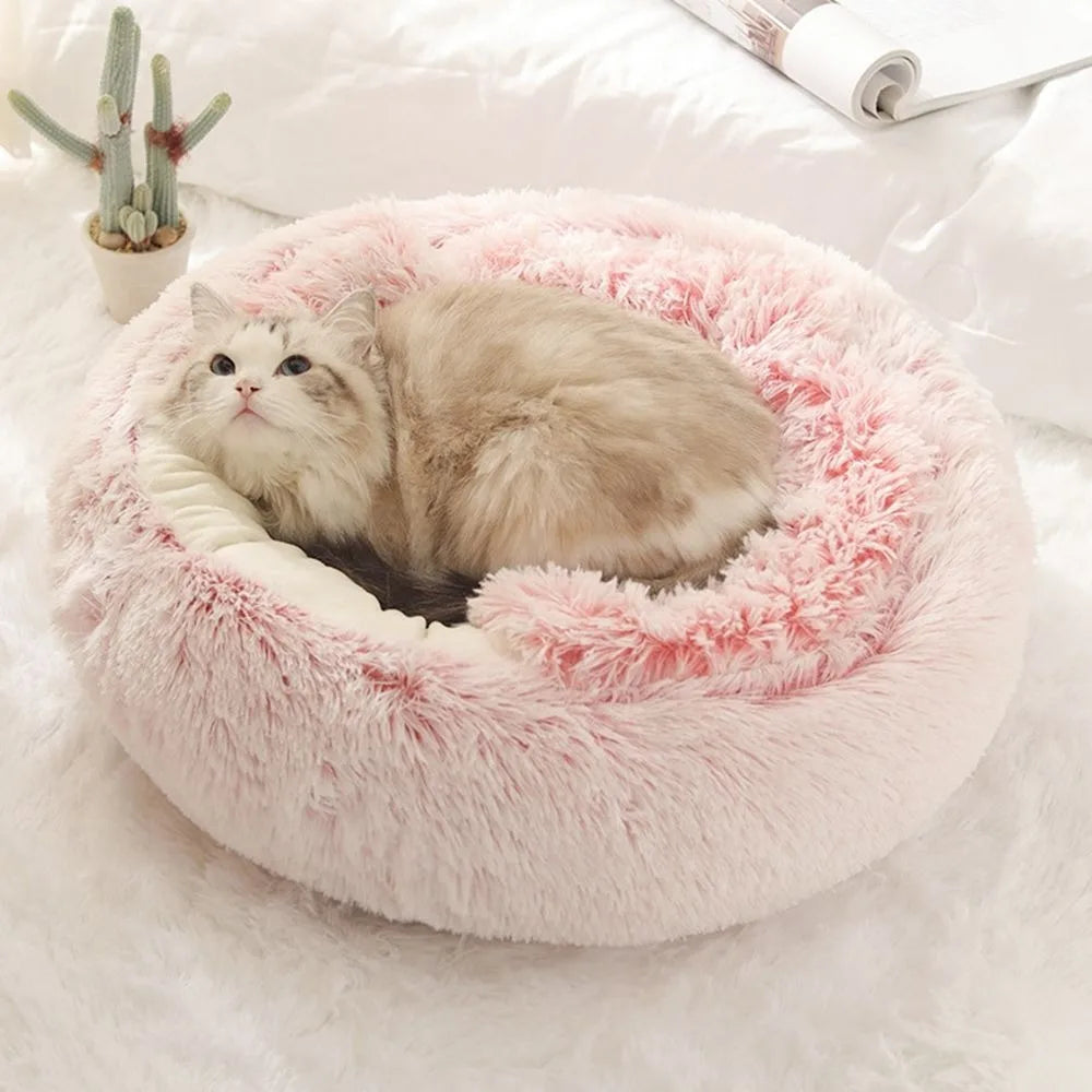 Coussin chat | Deluxe™