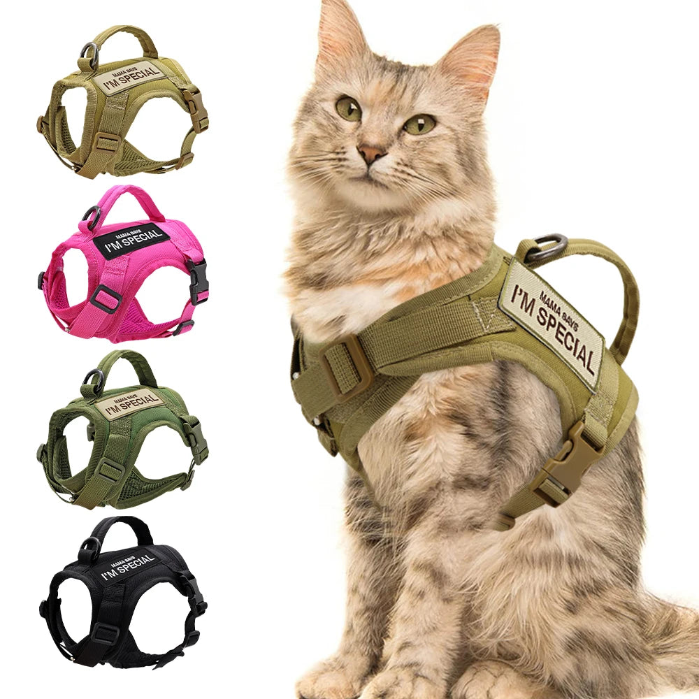 Harnais pour chat | Militaire