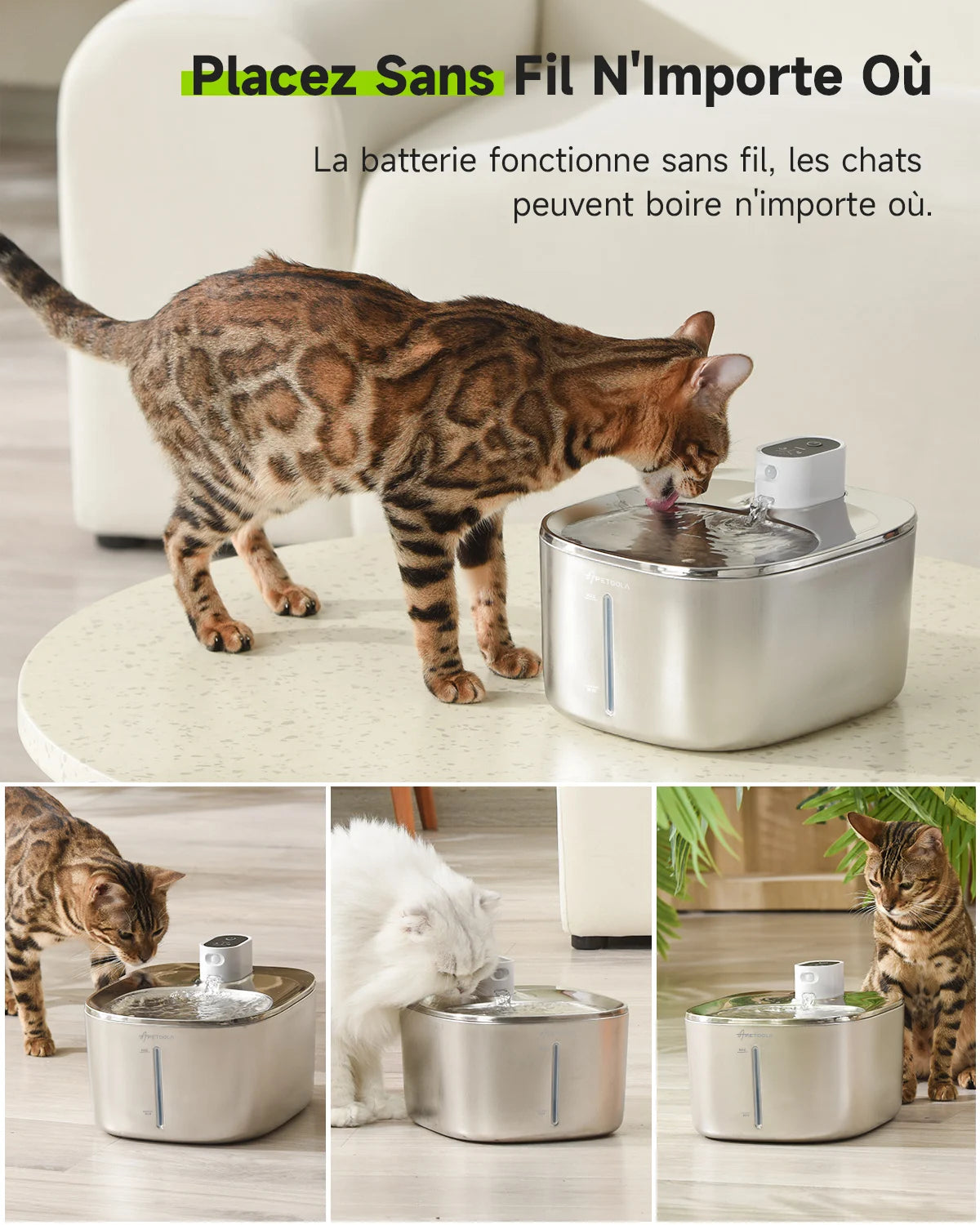 Fontaine à eau pour chat | APETDOLA