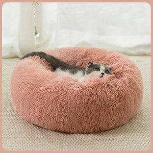 Coussin chat | Donut