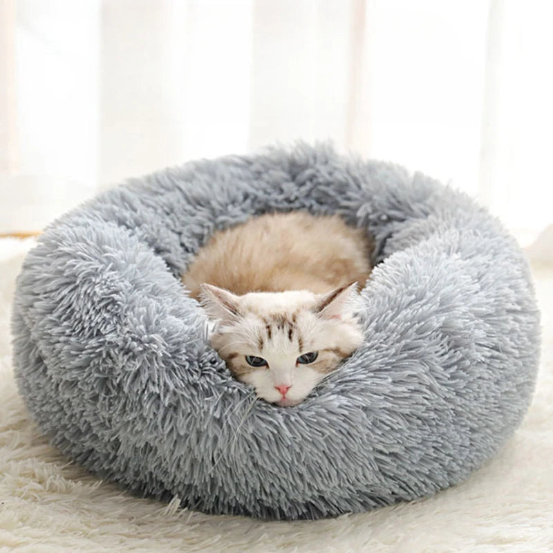 Coussin pour chat | Doux