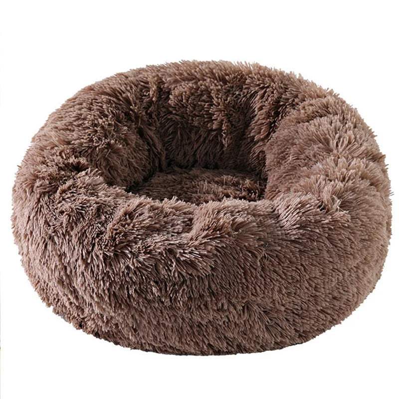 Coussin pour chat | Doux