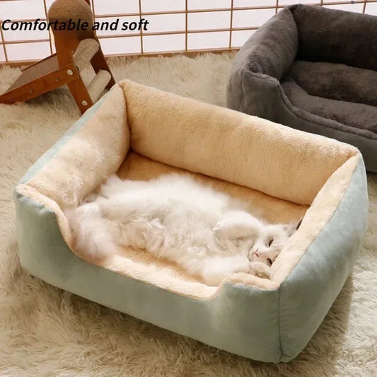 Coussin chat | Soft™