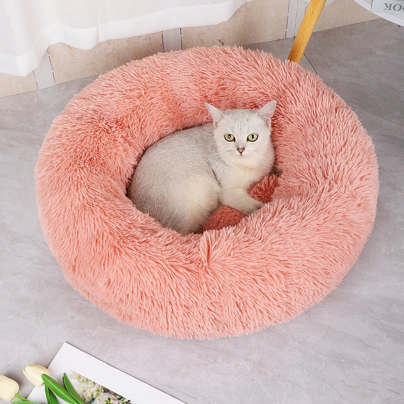 Coussin pour chat | Doux