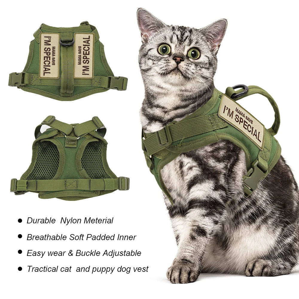 Harnais pour chat | Militaire