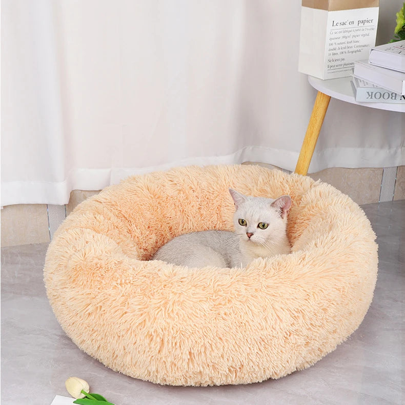 Coussin pour chat | Doux