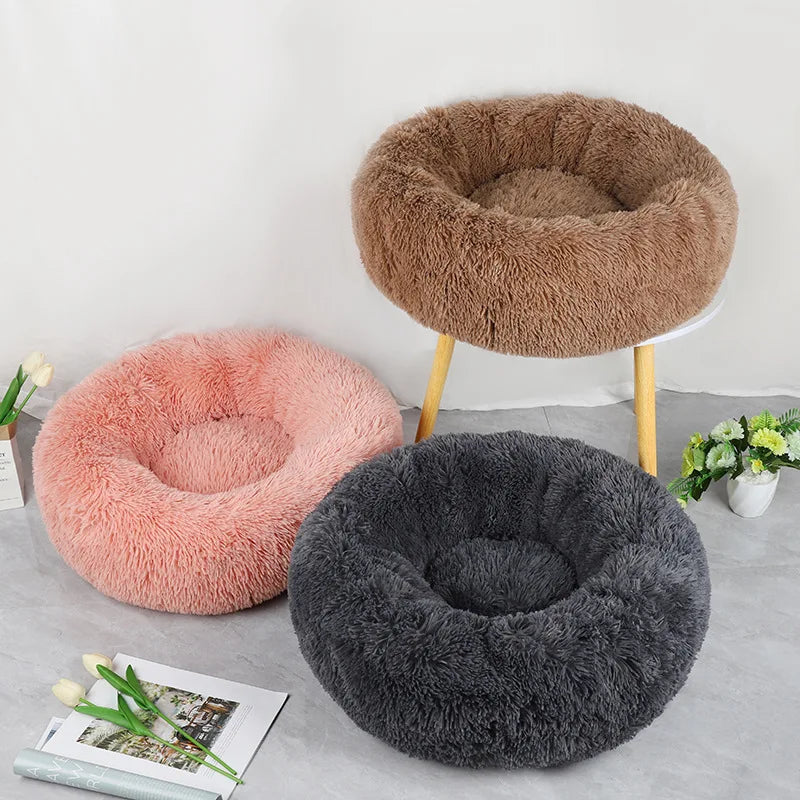 Coussin pour chat | Doux