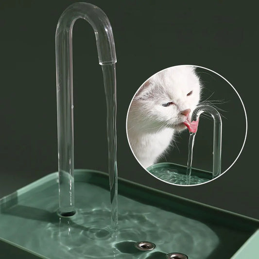 Fontaine à eau pour chat | Distributor